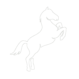 MÁS POTENCIA Y PAR MOTOR